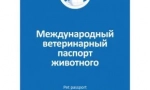 Како да се подготви мачка на изложбата: потребните услови, како и нијанси на настани